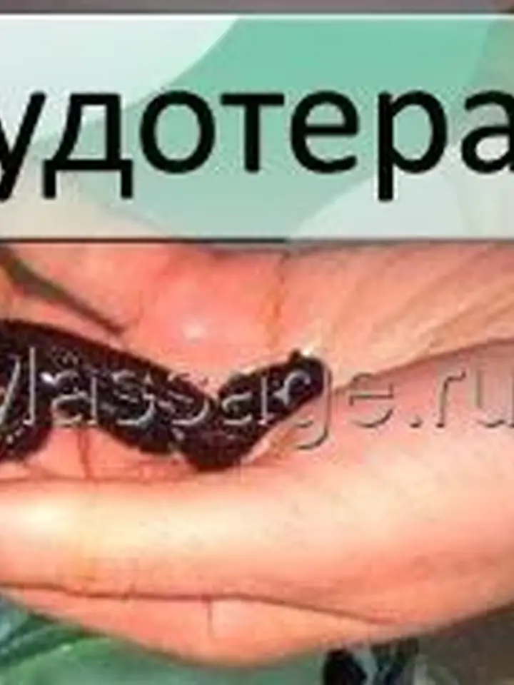 Мой SPA- кабинет