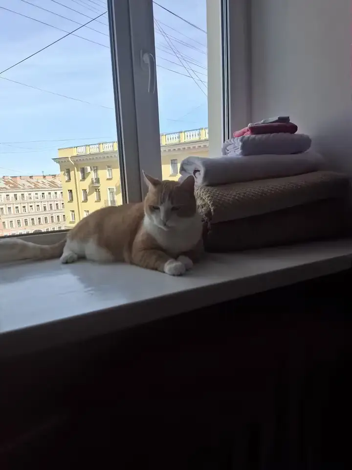 Анастасия