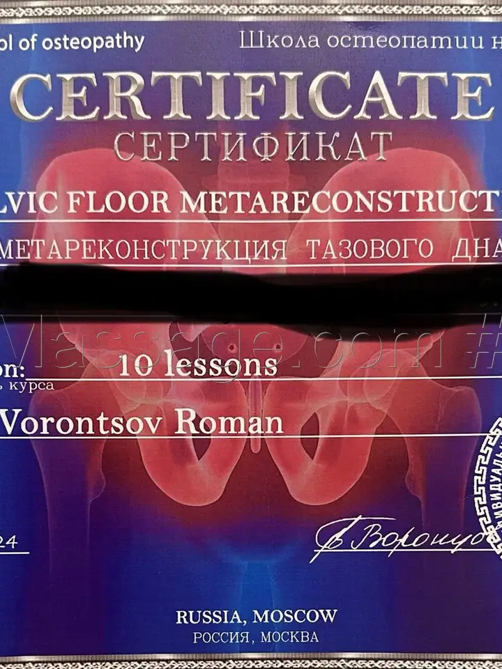 Стелла