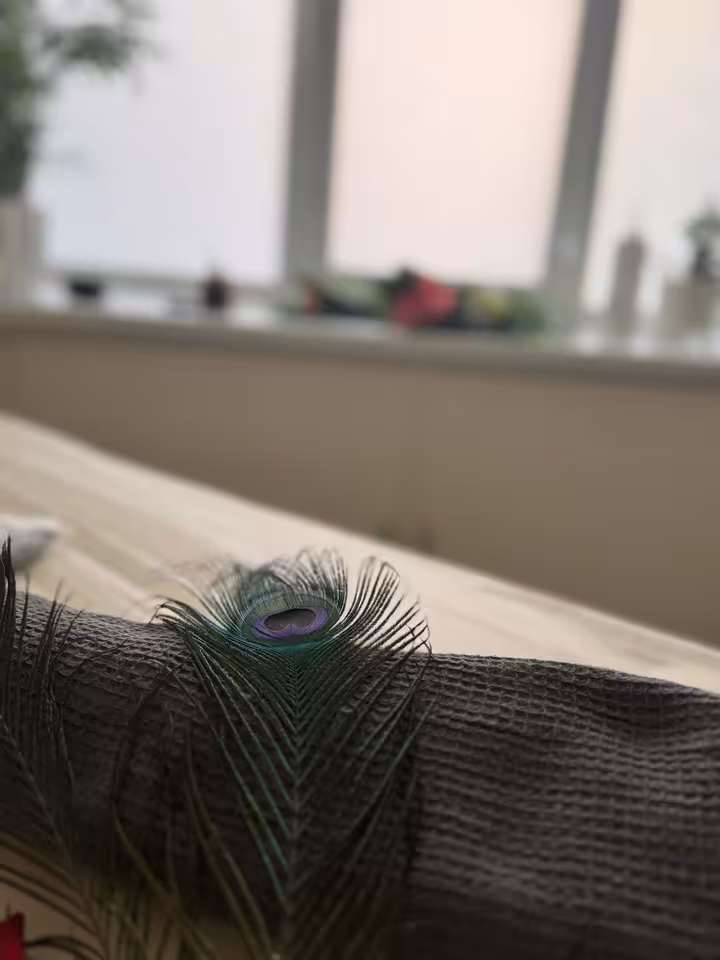 Dina