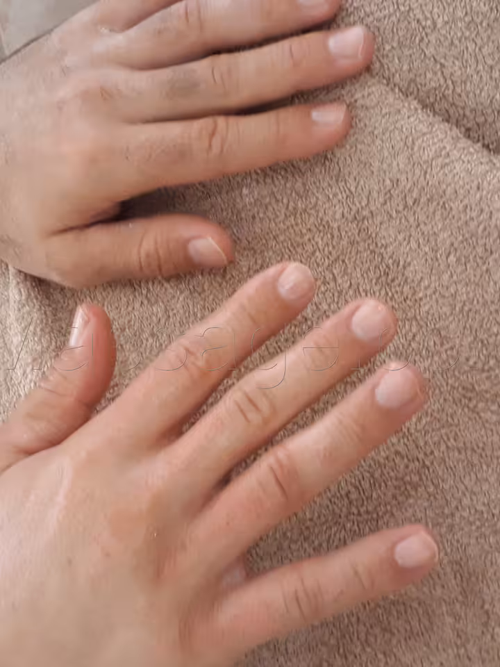 Barin SPA
