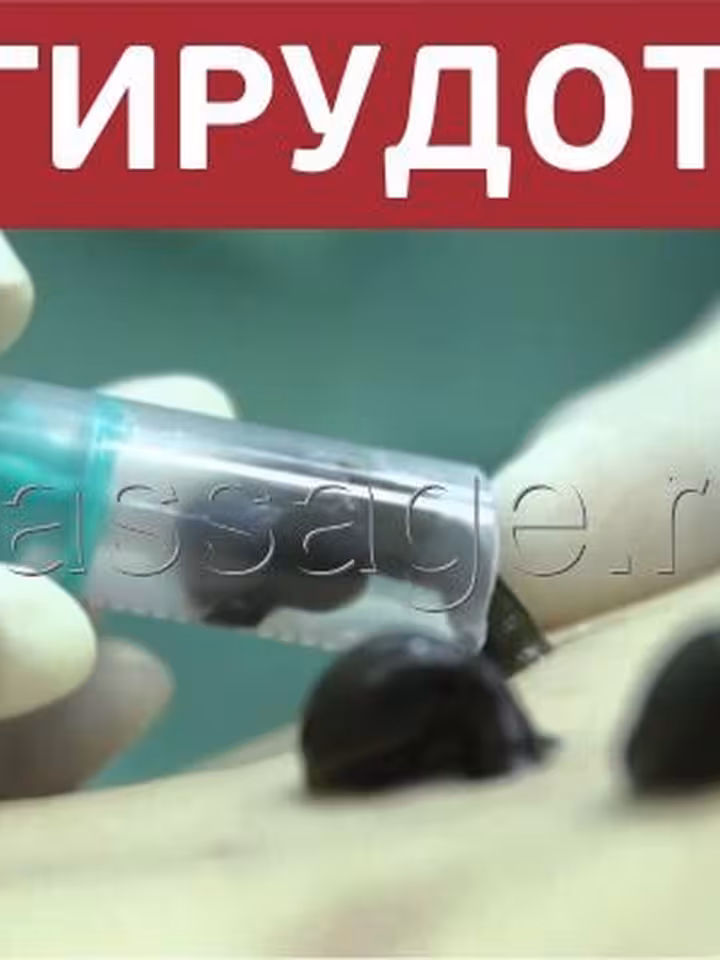 Николай Кузьмин
