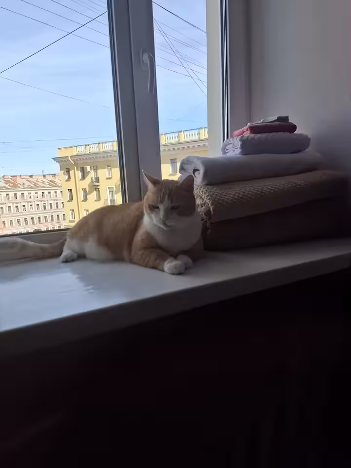 Анастасия