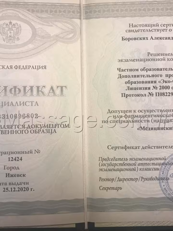 Александр Боровских